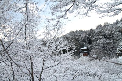 雪景色05