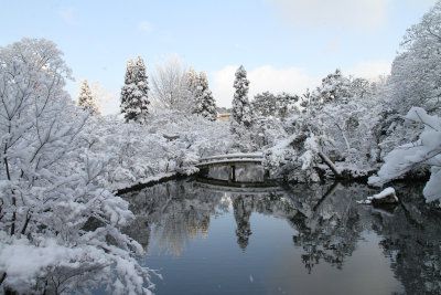 雪景色06