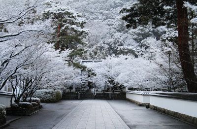 雪景色07