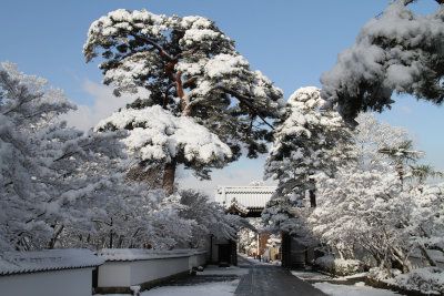 雪景色08