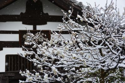 雪景色11